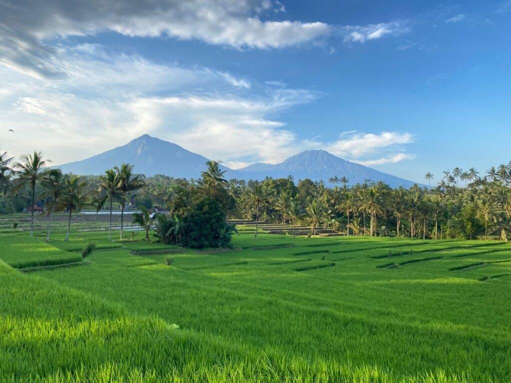 Rice fields stretching across East Java with Mount Meranti and Mount Merapi in the background, viewed from the slopes of Ijen Highlands